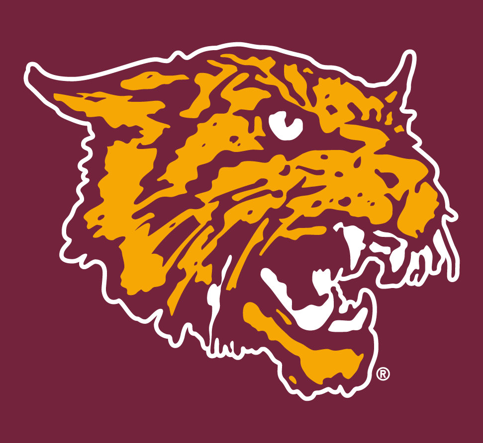 Bethune-Cookman Wildcats 2000-2015 Alternate Logo t shirts iron on transfers